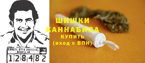 прущие грибы Зерноград