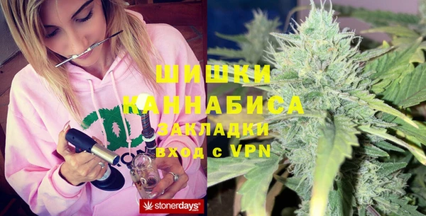 прущие грибы Зерноград
