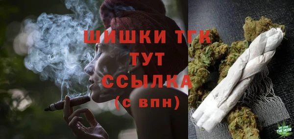 прущие грибы Зерноград