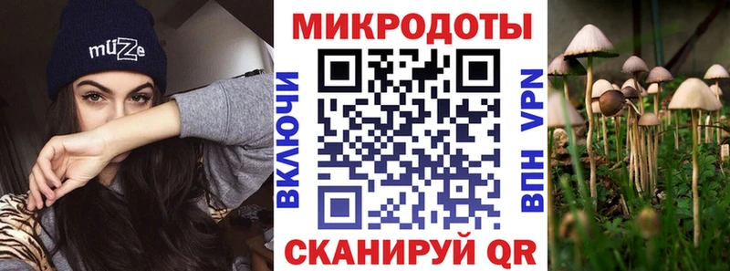 где найти   Нахабино  Галлюциногенные грибы MAGIC MUSHROOMS 